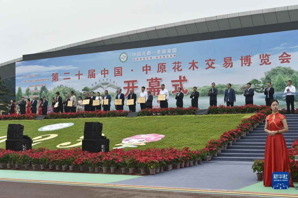 冰球突破摆脱游戏网站